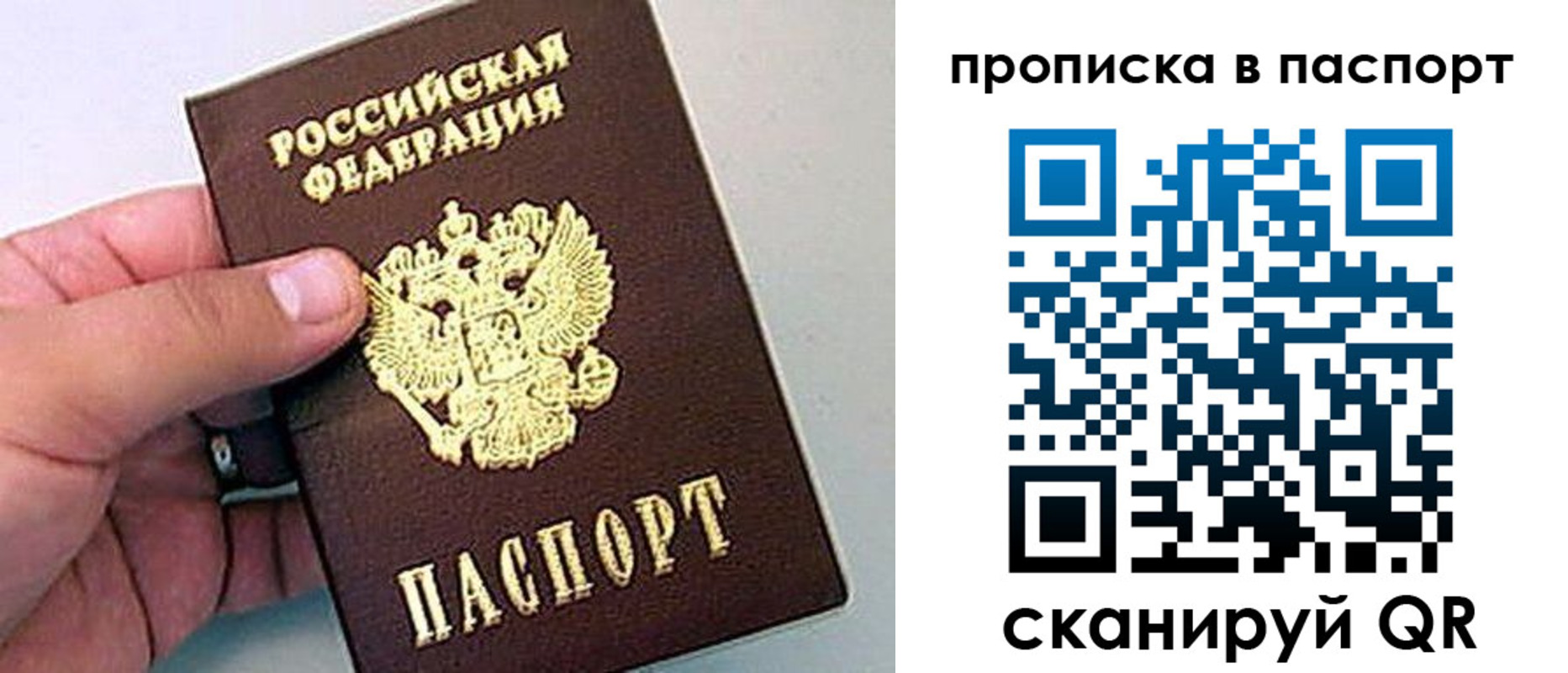 прописка законно в Муроме